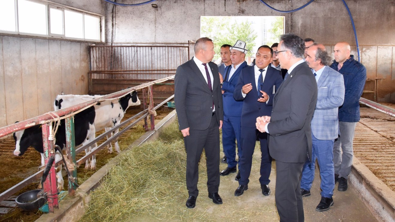 Selçuk Üniversitesi, Batken Devlet Üniversitesi ile tecrübelerini paylaştı